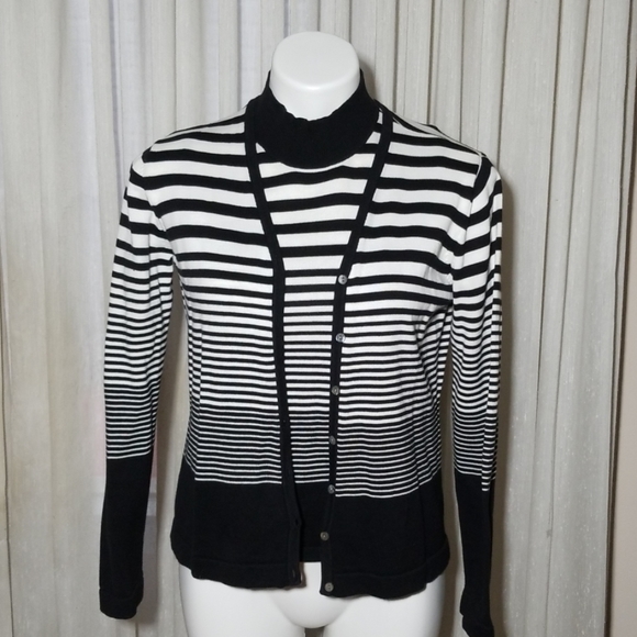 Petite Sophisticate Twin Sweater Set In 